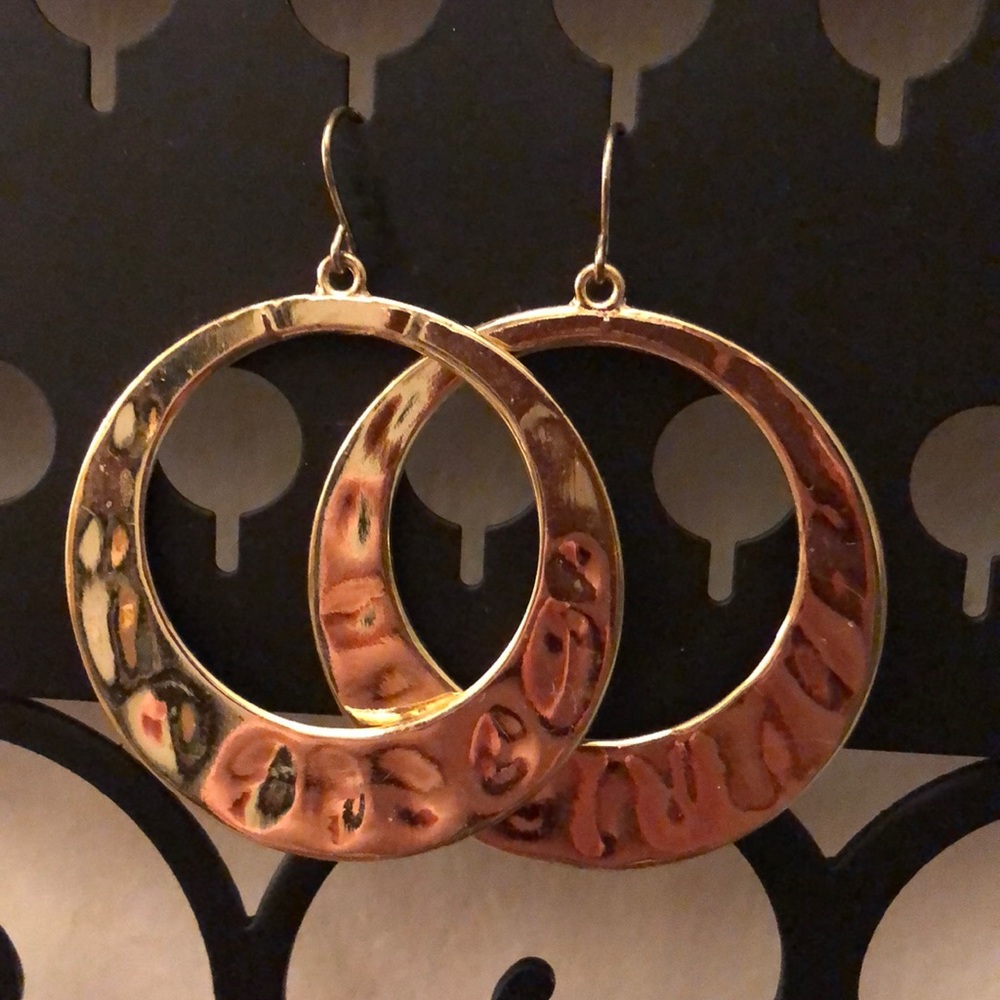 Francesca’s Hoop Dangly Earrings!